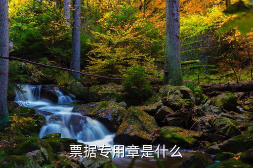 發(fā)票專用章上都有什么，發(fā)票長條章上面都有什么內容
