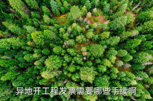 外地項(xiàng)目開(kāi)票需要什么手續(xù)，在外地開(kāi)票需要什么手續(xù)