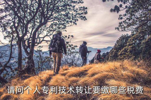 技術(shù)轉(zhuǎn)讓繳納什么稅，有關(guān)辦理技術(shù)轉(zhuǎn)讓要交什么稅