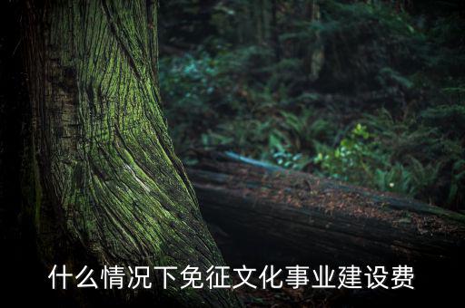 什么叫文化建設費，文化建設事業(yè)費
