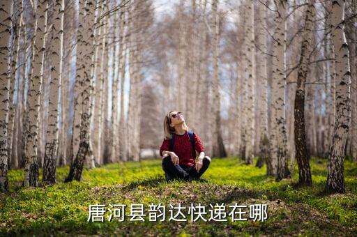 唐河地稅局負(fù)責(zé)什么，唐河縣韻達(dá)快遞在哪