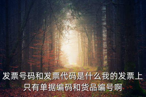 發(fā)票代碼指什么地方，增值稅普通發(fā)票的12位發(fā)票代碼在什么位置