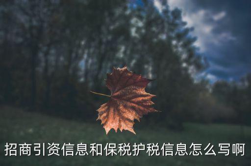 護(hù)稅是什么意思，  是什么意思