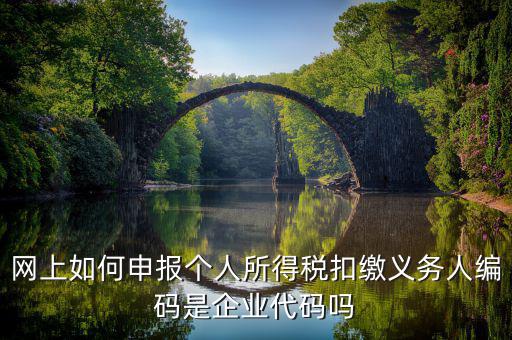 江西省個稅代扣系統(tǒng)的編碼是什么，網(wǎng)上如何申報個人所得稅扣繳義務(wù)人編碼是企業(yè)代碼嗎