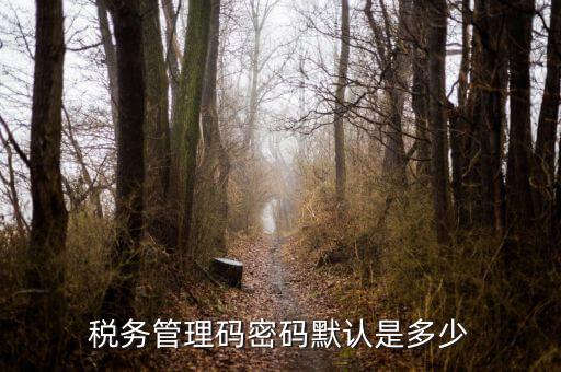 湖北國稅盤原始密碼是什么意思，湖北地稅網(wǎng)絡(luò)發(fā)票登陸密碼是什么急急急