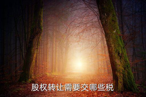 股權(quán)轉(zhuǎn)讓需要繳納什么稅，股權(quán)轉(zhuǎn)讓要交什么稅