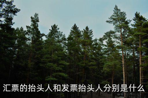 發(fā)票司稱人什么意思，匯票的抬頭人和發(fā)票抬頭人分別是什么