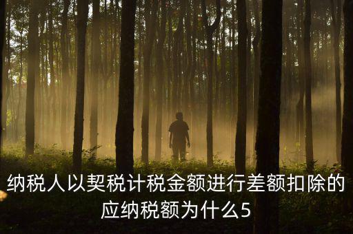 為什么 契稅 差額計稅，最新房產(chǎn)稅費