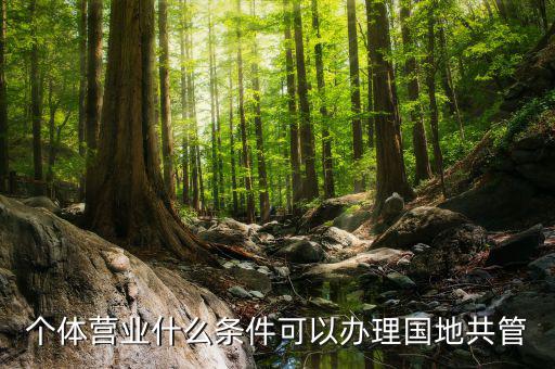 國地管戶類型是什么，國稅地稅共管戶
