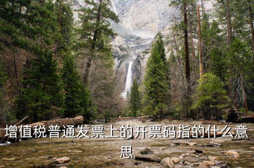 增值票的開票碼是什么意思，增值稅普通發(fā)票上的開票碼指的什么意思