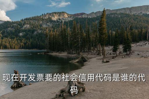 發(fā)票上有社會信用代碼是什么，現(xiàn)在開發(fā)票要的社會信用代碼是誰的代碼