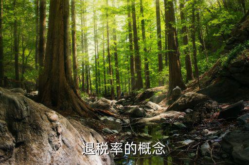 出口退稅率是什么意思，出口退稅率是什么意思啊什么樣的人要交呢