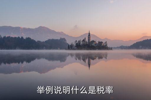 稅率說明是什么意思，稅率是什么意思
