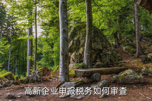 高企稅務(wù)審查查什么用，稅務(wù)檢查簽證有什么作用