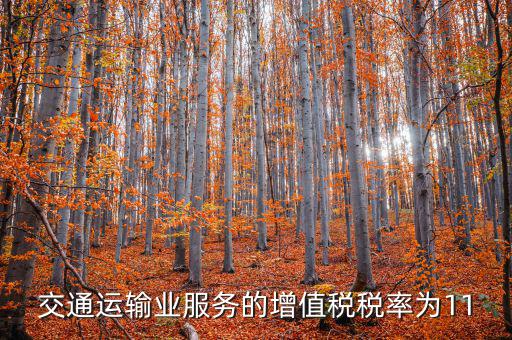 11稅率的服務(wù)包括什么，營改增后11個點稅包括哪些內(nèi)容