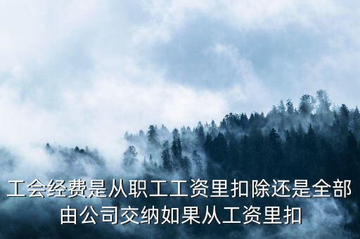 工會經(jīng)費(fèi)根據(jù)什么扣除，職工工會經(jīng)費(fèi)準(zhǔn)予扣除標(biāo)準(zhǔn)為多少