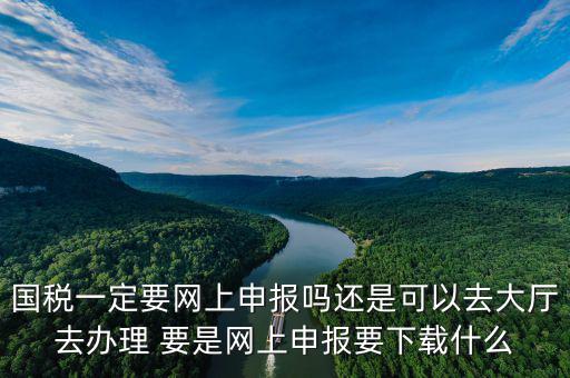 地稅進(jìn)國(guó)稅要下載什么，深圳國(guó)地稅想網(wǎng)上申報(bào)要下載什么東西嗎