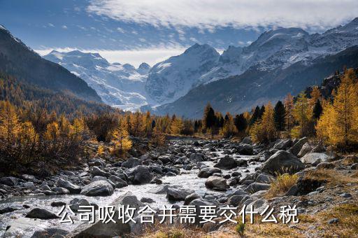 企業(yè)重組都交什么稅，企業(yè)是需要交哪些稅