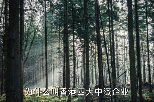 什么叫中資控股企業(yè)，為什么叫香港四大中資企業(yè)