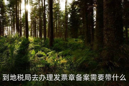 去地稅局備案需要什么，地稅備案需要什么資料