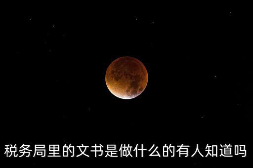 稅務(wù)文書(shū)是什么，急需稅務(wù)文書(shū)格式