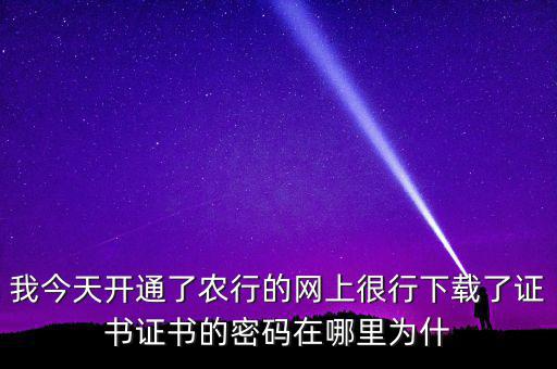 查看證書密碼是什么原因，我今天開通了農(nóng)行的網(wǎng)上很行下載了證書證書的密碼在哪里為什