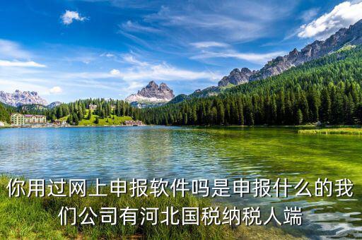 國稅人像采集是什么意思，你用過網上申報軟件嗎是申報什么的我們公司有河北國稅納稅人端