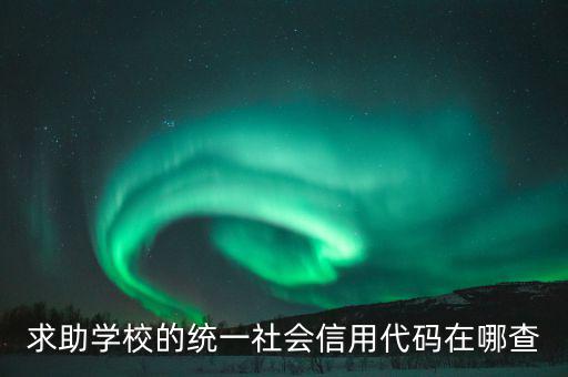 學(xué)校的社會信用代碼是什么東西，求助學(xué)校的統(tǒng)一社會信用代碼在哪查