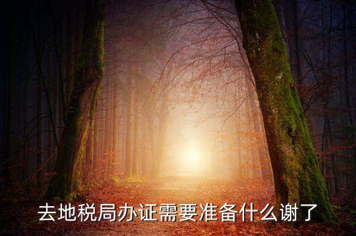 地稅局辦理什么，地稅局開發(fā)票需要辦什么手續(xù)