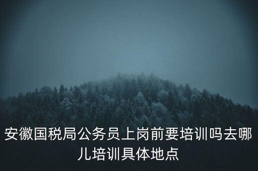 安徽國稅什么時(shí)候培訓(xùn)，安徽省稅務(wù)學(xué)校還在嗎那里的教學(xué)樓宿舍和操場都還在嗎沒被拆