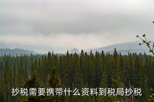 報(bào)稅查什么輔導(dǎo)信息，剛申請為一般納稅人在哪查看是否要經(jīng)過輔導(dǎo)期納稅申報(bào)初始化填5