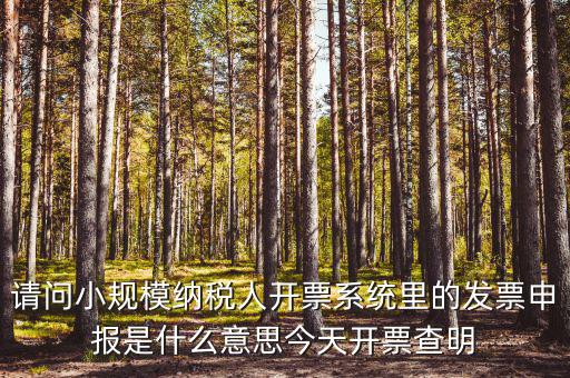 請問小規(guī)模納稅人開票系統(tǒng)里的發(fā)票申報(bào)是什么意思今天開票查明
