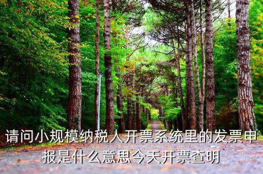 稅票申報是什么意思，納稅申報與申報納稅是一個意思嗎都是代理記賬的業(yè)務范疇嗎  搜