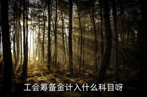 什么是工會籌備金，工會籌備金計入什么科目呀