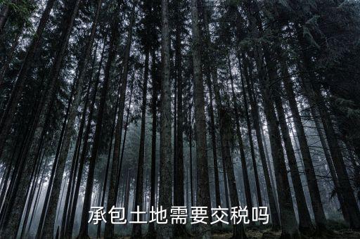 土地承包費征什么稅，我公司承包一農民的土地承包期限至該農民包地期限為止請問我公
