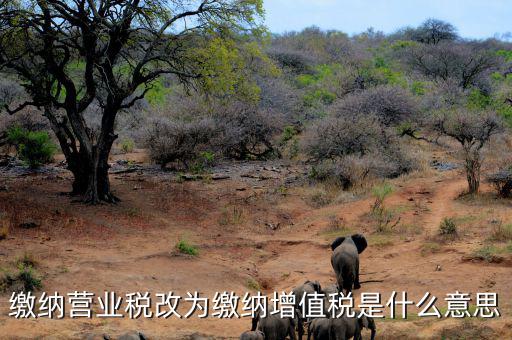 營業(yè)稅改為增值稅是什么意思，營業(yè)稅改增值稅指的是什么