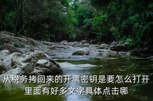 稅務(wù)密鑰是什么，增值稅專用發(fā)票辦理秘鑰是什么意思