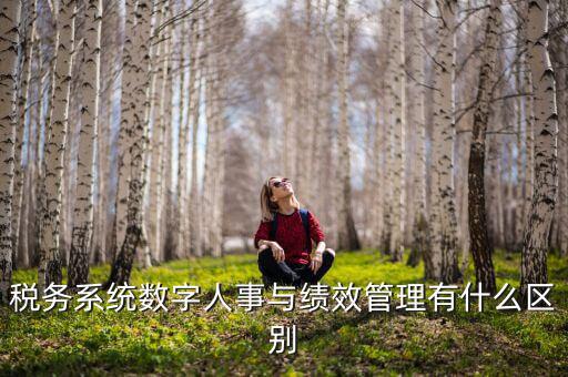 數(shù)字人事評是什么，稅務(wù)系統(tǒng)數(shù)字人事與績效管理有什么區(qū)別