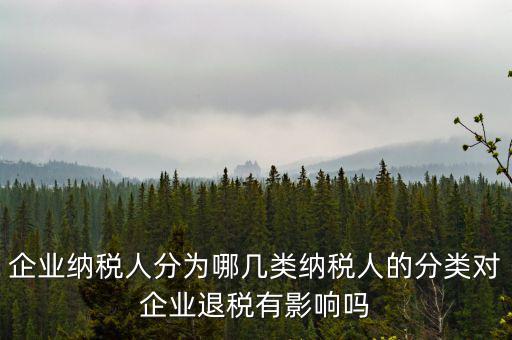 什么A級B級信用納稅人，A級增值稅一般納稅人C級增值稅一般納稅