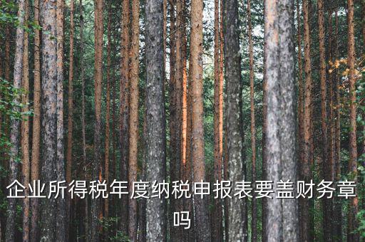 所得稅年報要蓋什么章，企業(yè)所得稅年度納稅申報表要蓋財務(wù)章嗎