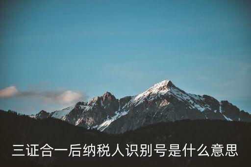 三證合一稅務識別號是什么意思，三證合一后納稅人識別號是什么意思