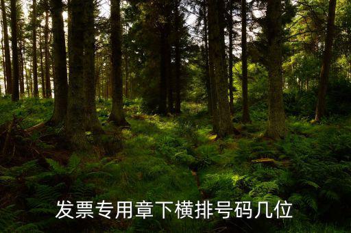 發(fā)票專用章的號碼是什么，發(fā)票專用章和公章上的號碼是一樣的不都是執(zhí)業(yè)許可證號
