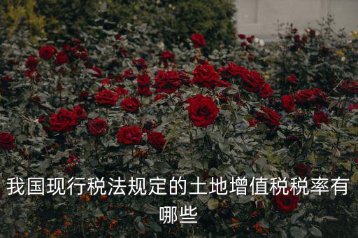 土地增值稅采用什么稅率，土地增值稅應(yīng)用于哪種稅率形式