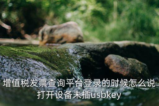 金稅盤登陸口令是什么，增值稅發(fā)票查詢平臺(tái)登錄的時(shí)候怎么說打開設(shè)備未插usbkey