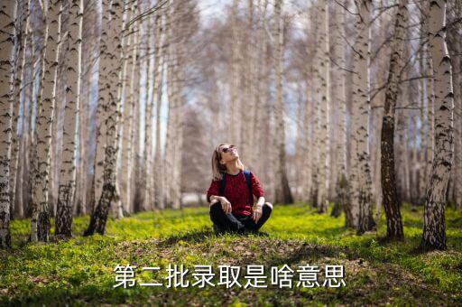 后續(xù)次批公布什么意思，高考請(qǐng)等待下一批次結(jié)果公布是什么意思