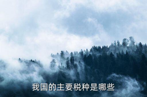 中國三大稅收是什么，中國境內的稅收種類