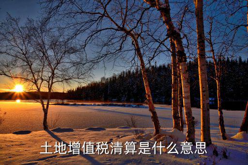 土地增值稅納稅清算什么意思，土地增值稅清算