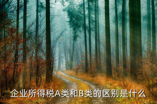 什么叫a類企業(yè)所得稅，所得稅申報怎么區(qū)分A類包括哪些企業(yè)