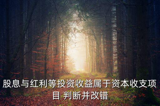 股息紅利等投資收益屬于什么，股息與紅利等投資收益屬于資本收支項(xiàng)目 判斷并改錯(cuò)