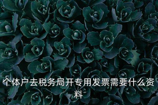 個體戶開專票需要什么，個體在國稅局開增值稅專用發(fā)票需要什么資料